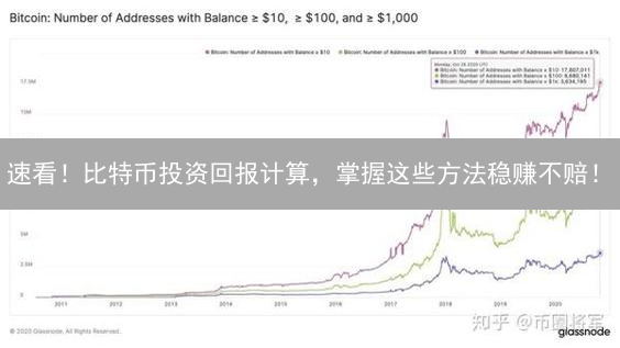 速看！比特币投资回报计算，掌握这些方法稳赚不赔！