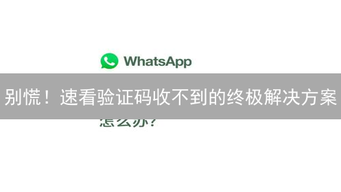别慌！速看验证码收不到的终极解决方案