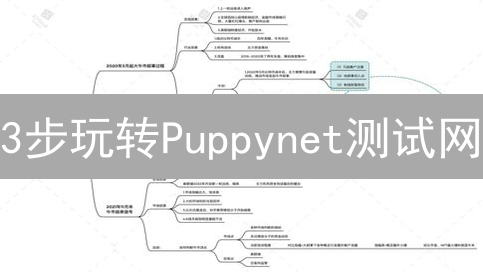 3步玩转Puppynet测试网：Shibarium安全保障实战演练