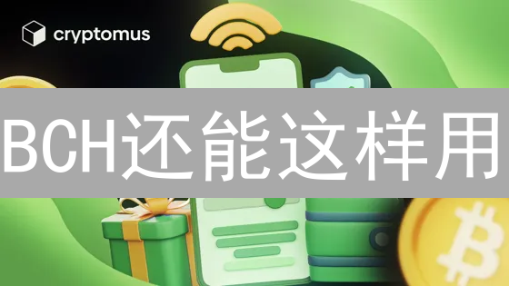 BCH还能这样用？专家解读比特现金的6大应用场景与潜力