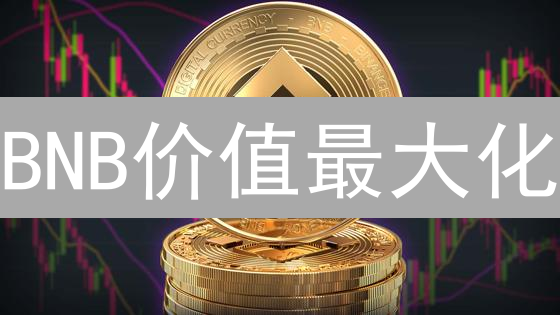BNB价值最大化：2大交易所的9种使用方式对比分析