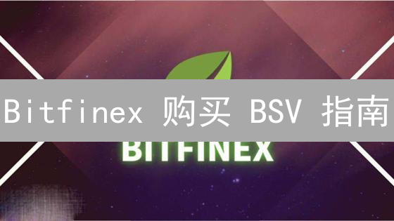 Bitfinex 购买 BSV 指南：新手也能轻松上手？真的吗？