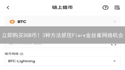 立即购买SGB币！3种方法抓住Flare金丝雀网络机会